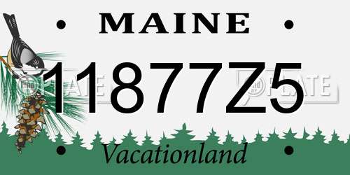 11877Z5 Maine License Plate