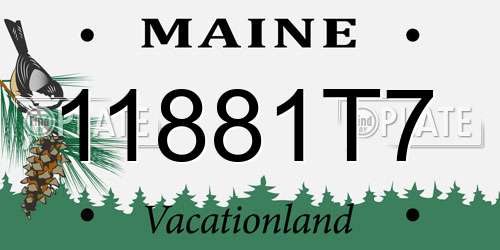 11881T7 Maine License Plate