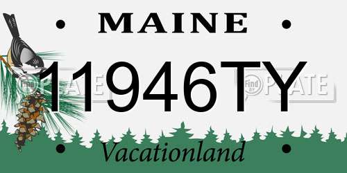 11946TY Maine License Plate