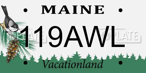 119AWL Maine License Plate