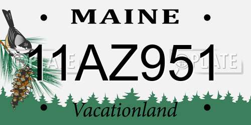 11AZ951 Maine License Plate