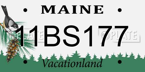 11BS177 Maine License Plate