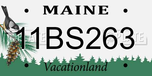 11BS263 Maine License Plate