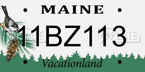 11BZ113 Maine License Plate