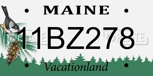 11BZ278 Maine License Plate