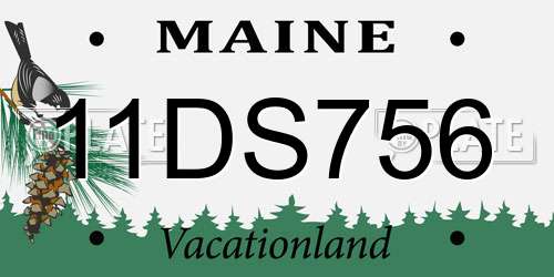 11DS756 Maine License Plate