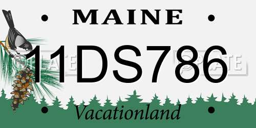 11DS786 Maine License Plate