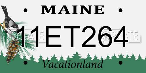 11ET264 Maine License Plate