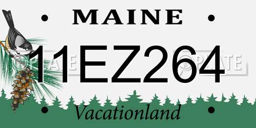 11EZ264 Maine License Plate