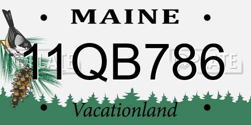 11QB786 Maine License Plate