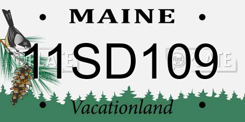 11SD109 Maine License Plate