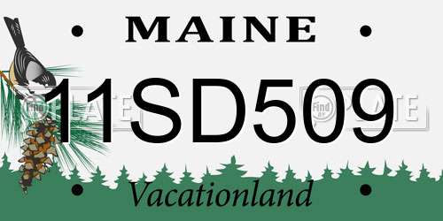 11SD509 Maine License Plate