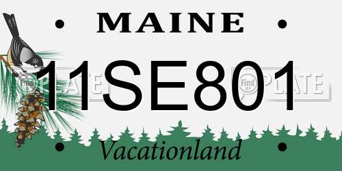 11SE801 Maine License Plate