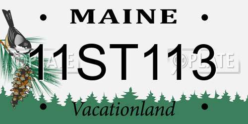 11ST113 Maine License Plate