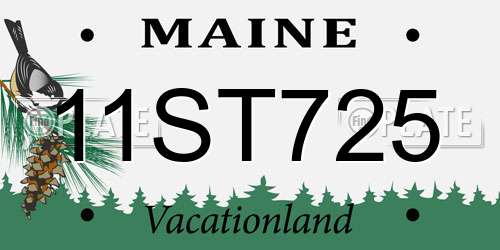 11ST725 Maine License Plate