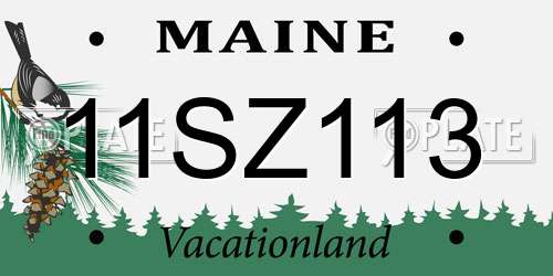 11SZ113 Maine License Plate