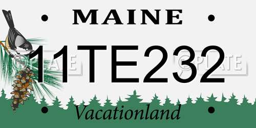 11TE232 Maine License Plate