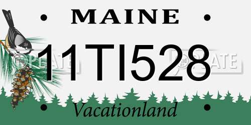 11TI528 Maine License Plate
