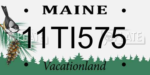 11TI575 Maine License Plate