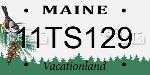 11TS129 Maine License Plate