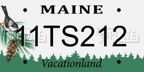 11TS212 Maine License Plate