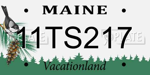 11TS217 Maine License Plate