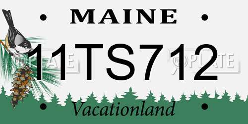 11TS712 Maine License Plate