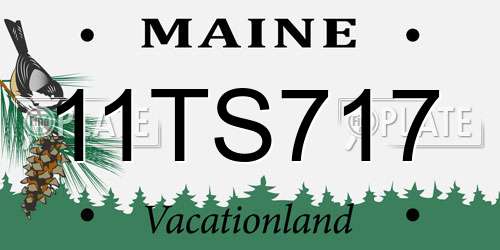 11TS717 Maine License Plate