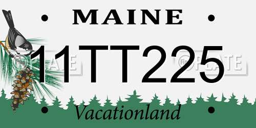 11TT225 Maine License Plate