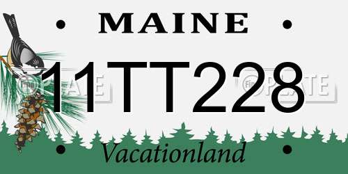11TT228 Maine License Plate