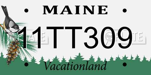 11TT309 Maine License Plate