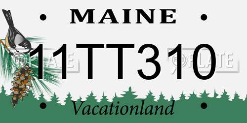11TT310 Maine License Plate
