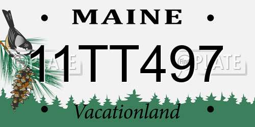 11TT497 Maine License Plate