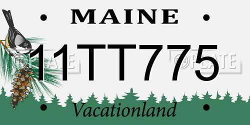 11TT775 Maine License Plate