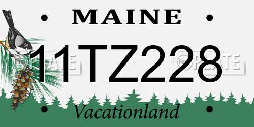 11TZ228 Maine License Plate