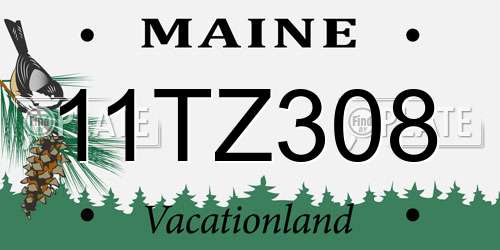 11TZ308 Maine License Plate