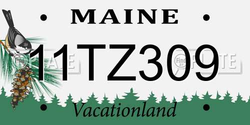 11TZ309 Maine License Plate