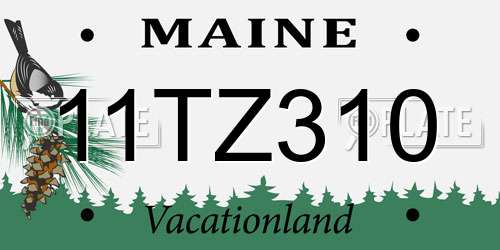 11TZ310 Maine License Plate