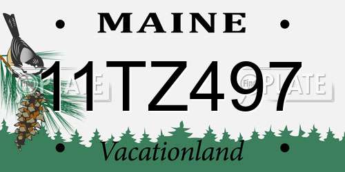11TZ497 Maine License Plate