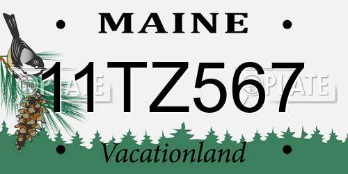 11TZ567 Maine License Plate