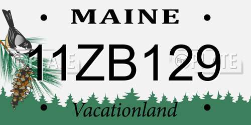 11ZB129 Maine License Plate