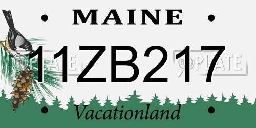 11ZB217 Maine License Plate