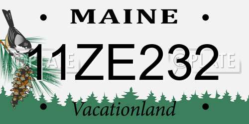 11ZE232 Maine License Plate