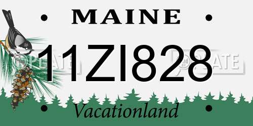11ZI828 Maine License Plate