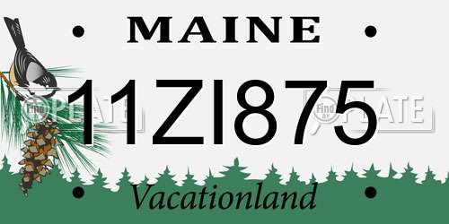 11ZI875 Maine License Plate