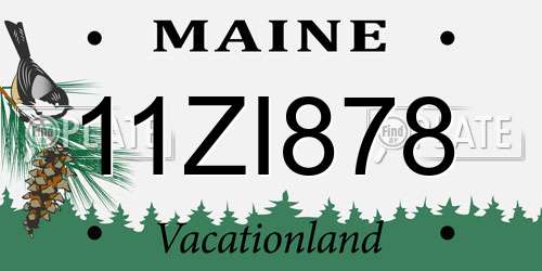 11ZI878 Maine License Plate