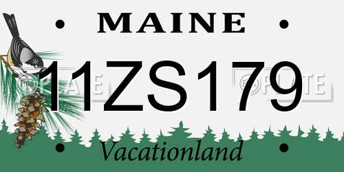 11ZS179 Maine License Plate