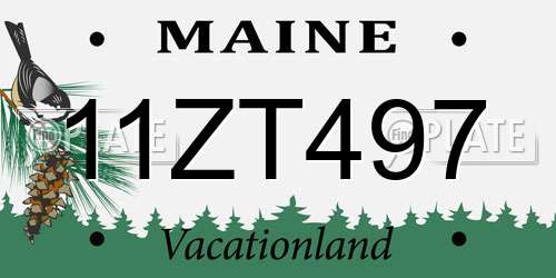 11ZT497 Maine License Plate