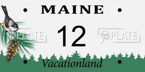 12 Maine License Plate