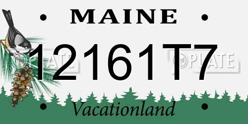 12161T7 Maine License Plate